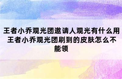 王者小乔观光团邀请人观光有什么用 王者小乔观光团刷到的皮肤怎么不能领